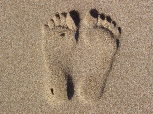 footprint-1580660-1280x960